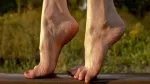 Bài tập cho người suy giãn tĩnh mạch chân
