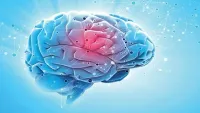 7 cách cải thiện trí nhớ