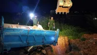 Bắc Giang: Xử phạt hộ kinh doanh và tiêu hủy 1,5 tấn thịt lợn nhiễm dịch tả lợn châu Phi