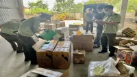 Thừa Thiên Huế: Phát hiện, thu giữ trên 1.200 sản phẩm mỹ phẩm có dấu hiệu nhập lậu